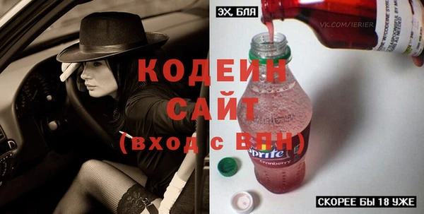 ECSTASY Алзамай