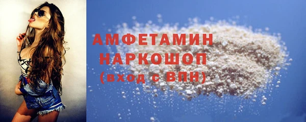 ECSTASY Алзамай