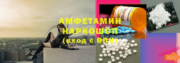 ECSTASY Алзамай