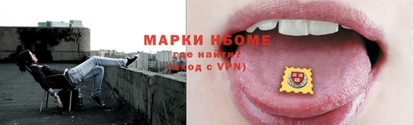 ECSTASY Алзамай