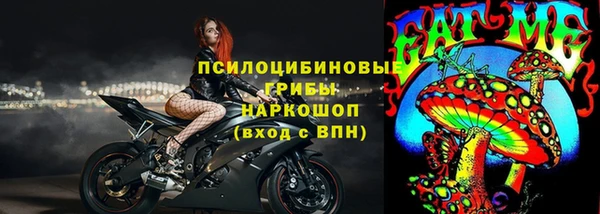 ECSTASY Алзамай