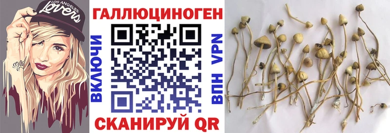 Псилоцибиновые грибы Magic Shrooms  кракен как войти  Нурлат  купить закладку 