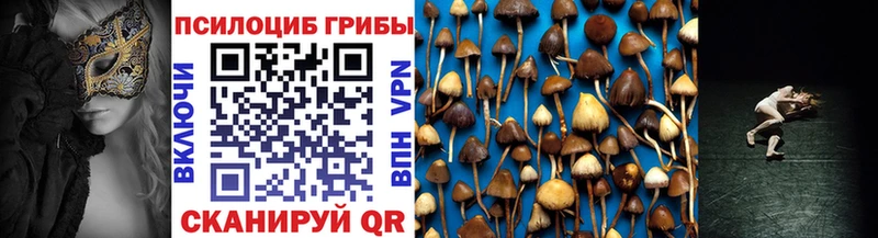 Псилоцибиновые грибы Psilocybine cubensis Нурлат